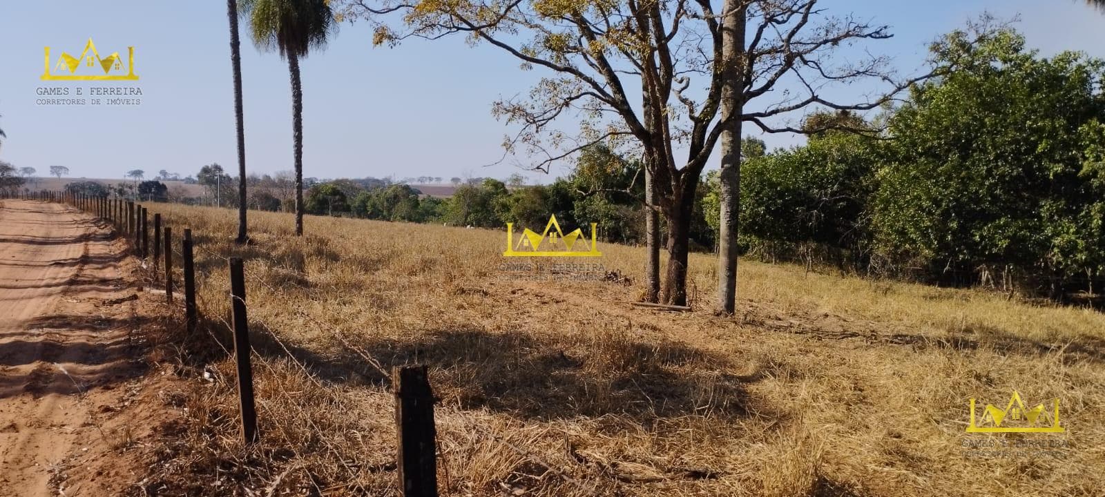 Chácara com pastagem e curral a venda na cidade de Américo de Campos
