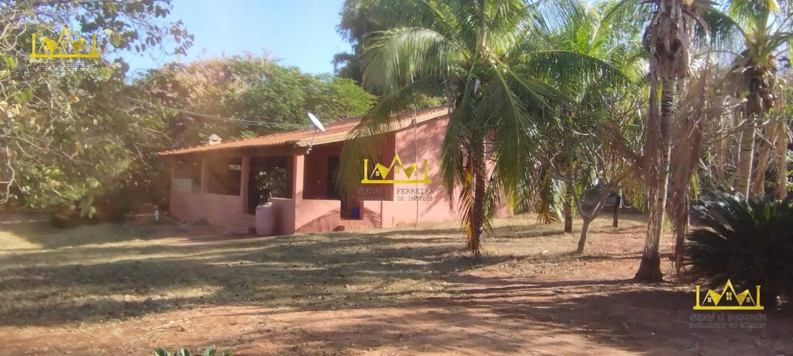 Chácara formada em seringueira está a venda no município de américo de campos